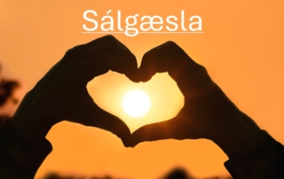 Sálgæsla